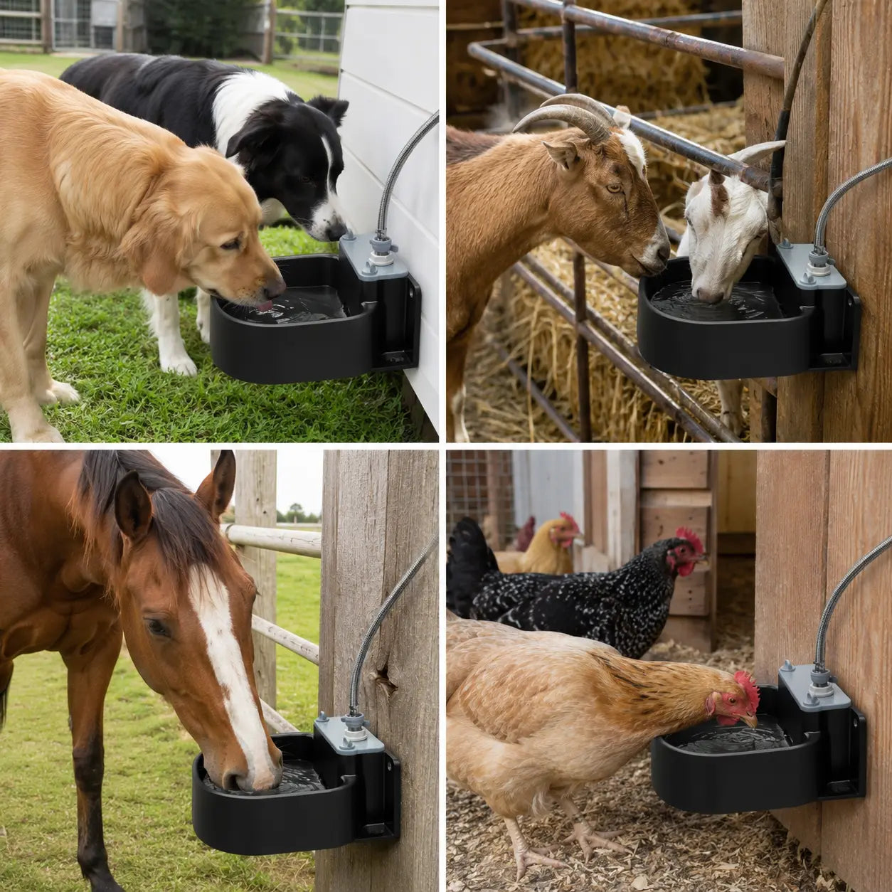 Farmparadise Automatic Water Dispenser for Dogs and Livestock, Featuring Float Valve, Filter, Hose, and Adapter - Ideal for Goats, Horses, and Chicken Coops