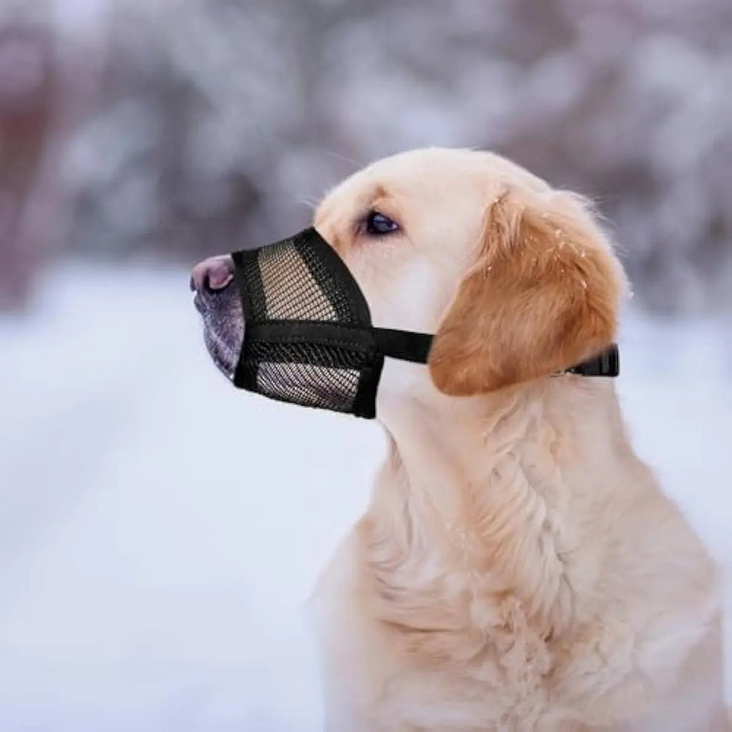#Backtoschool Dog Muzzle for Varies Dogs - Air Mesh Muzzle for Varies Sized Dog | Adjustable No Bark Dogs Muzzles for Scavenging Licking & Chewing | Prevent Biting |,Back to School