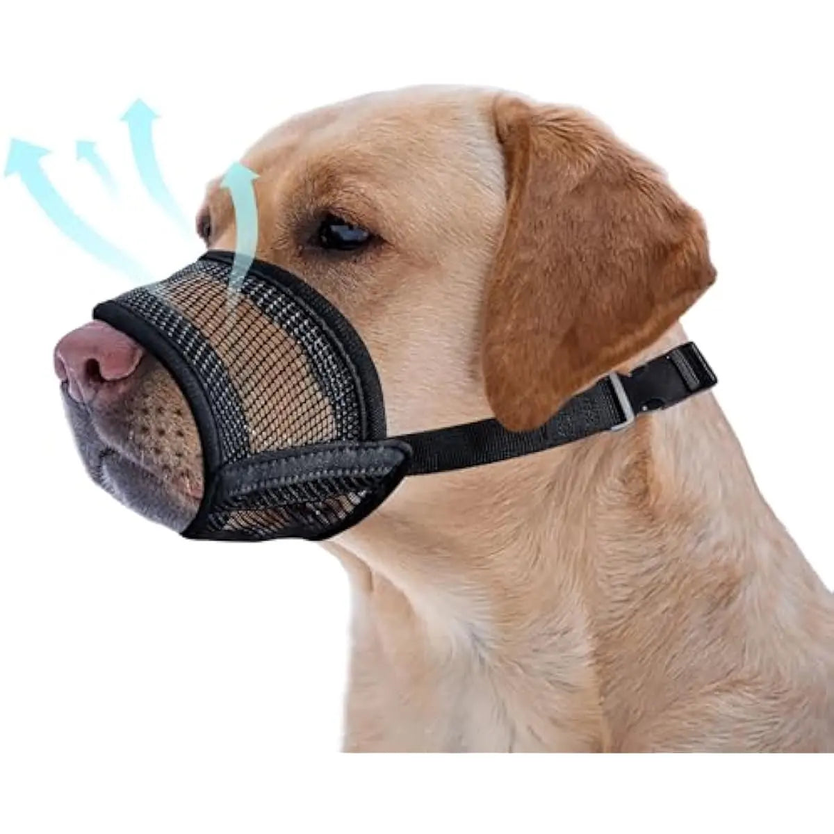 #Backtoschool Dog Muzzle for Varies Dogs - Air Mesh Muzzle for Varies Sized Dog | Adjustable No Bark Dogs Muzzles for Scavenging Licking & Chewing | Prevent Biting |,Back to School