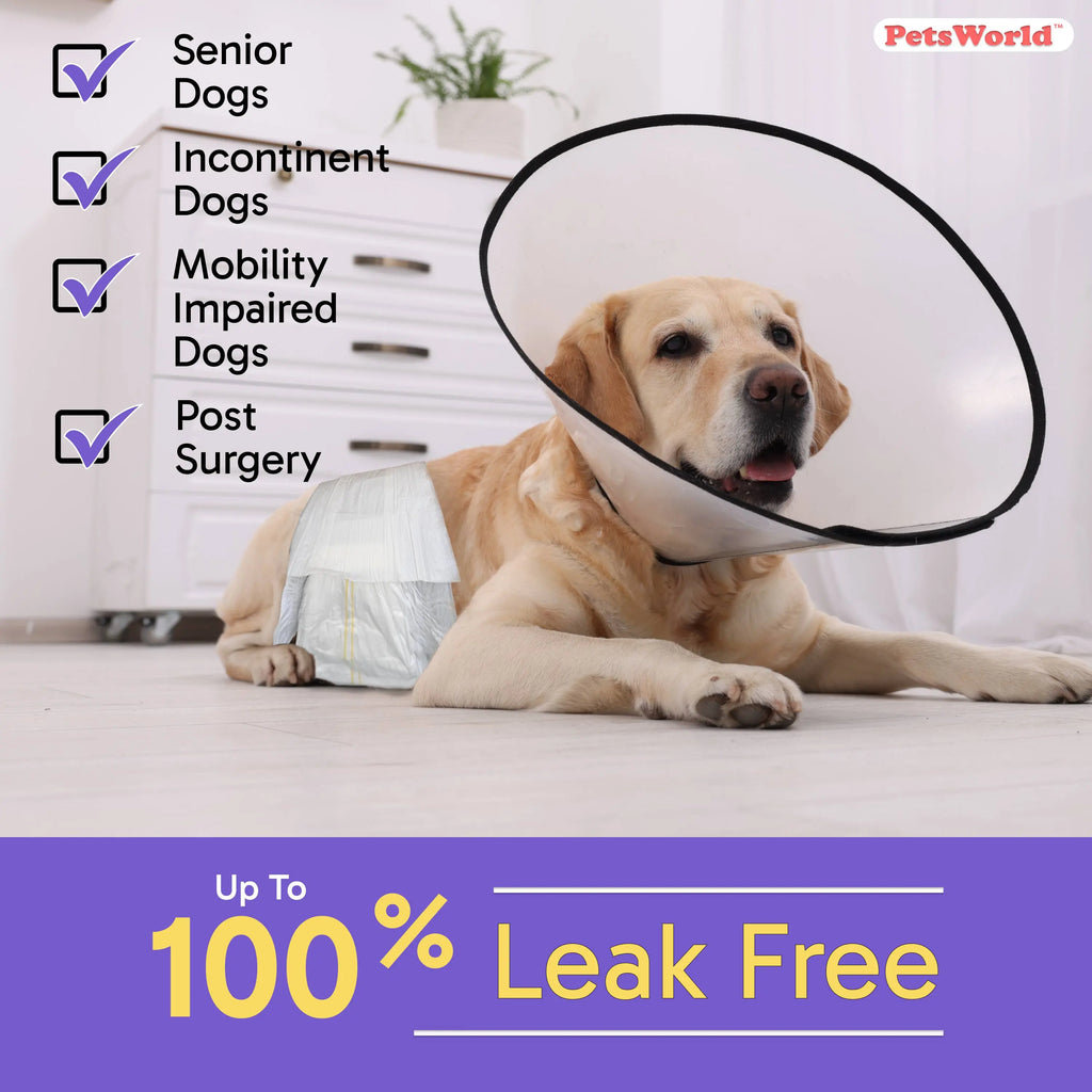 Petsworld Male Dog Diapers, Disposable Belly Bands for Male Dogs, Super Absorbent Dog Wraps with Wetness Indicator, Leak Proof Fit for Marking, Incontinence & Potty Training, Sizes XS-L